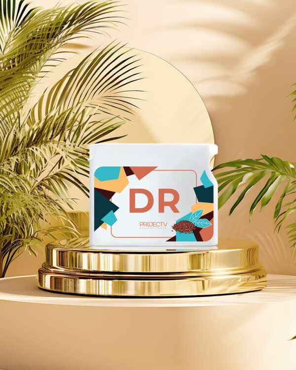 PROJECT V – DR | DI RESET
